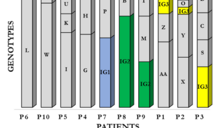 Phenotypic and genotypic characteristics of Pseudomonas aeruginosa isolated from cystic fibrosis patients with chronic infections
