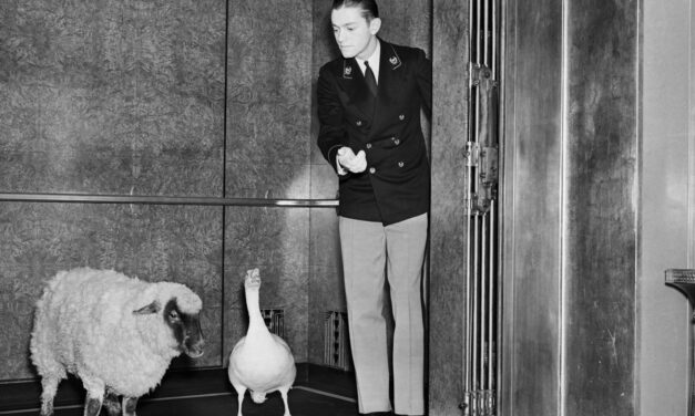 Telephone operation was a good career for women. Then it got automated.