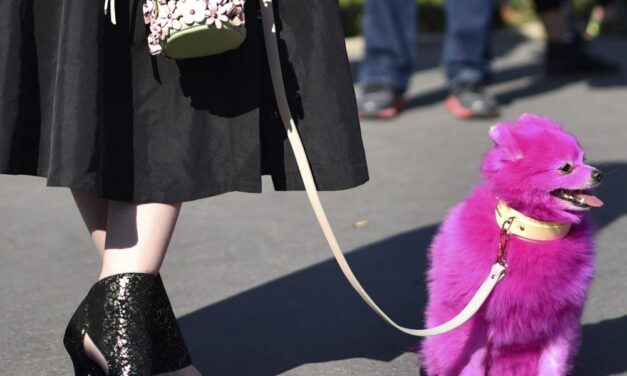 Beyond the summer of ‘Barbie pink’: How the color went from an 18th century fashion breakthrough to ‘the most controversial color in fashion’