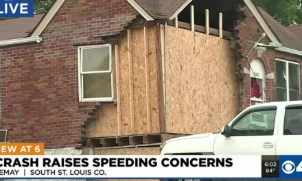 73-year-old woman dies after car crashes into South County home