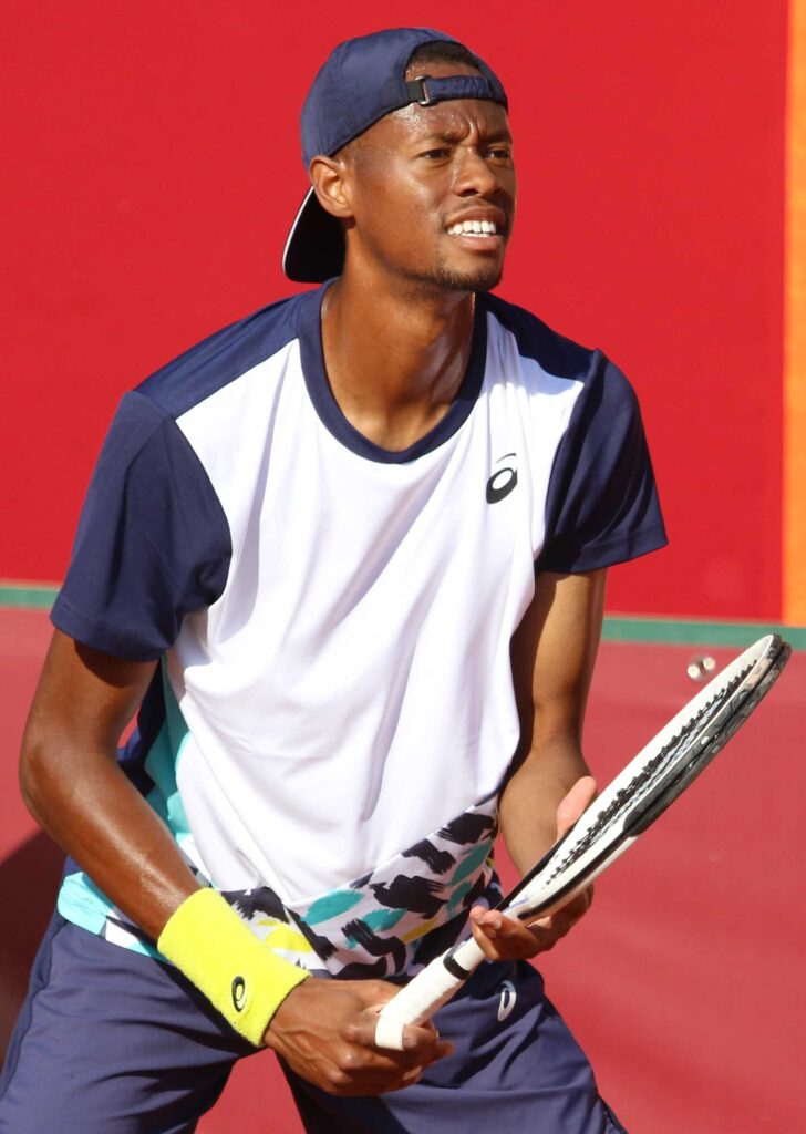 Black tennis pros shine at Wimbledon this year