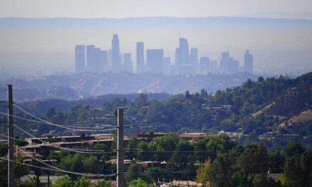 Black Americans living in disadvantaged neighborhoods age faster than white peers, study finds