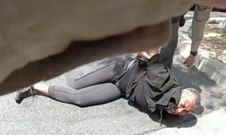 LA County sheriff investigating after bodycam video shows deputy throwing Black woman to the ground
