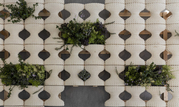Willow Technologies Transforms Agricultural By-Products Into Building Materials in Ghana