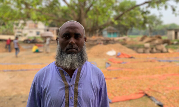 The Vice of Spice: Confronting Lead-Tainted Turmeric
