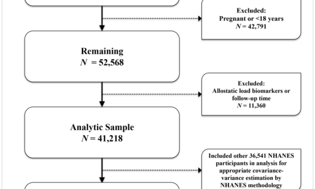 Investigating the association between educational attainment and allostatic load with risk of cancer mortality among African American women – BMC Women’s Health