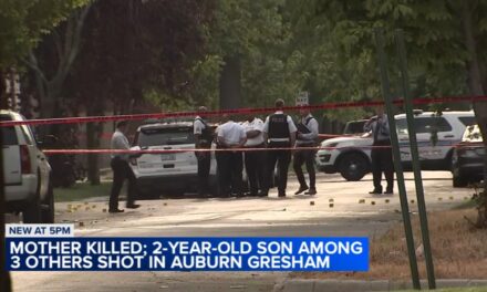 Chicago shooting: Mother killed, 2-year-old son among 3 wounded in Auburn Gresham, police say