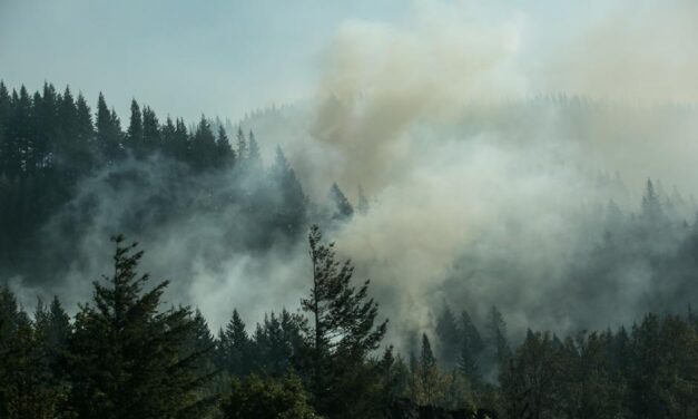 Health Department reinstates mandatory wood burning restriction due