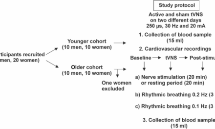 A randomized vagus nerve stimulation study demonstrates that serum aldosterone levels decrease with age in women, but not in men