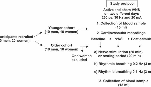A randomized vagus nerve stimulation study demonstrates that serum aldosterone levels decrease with age in women, but not in men