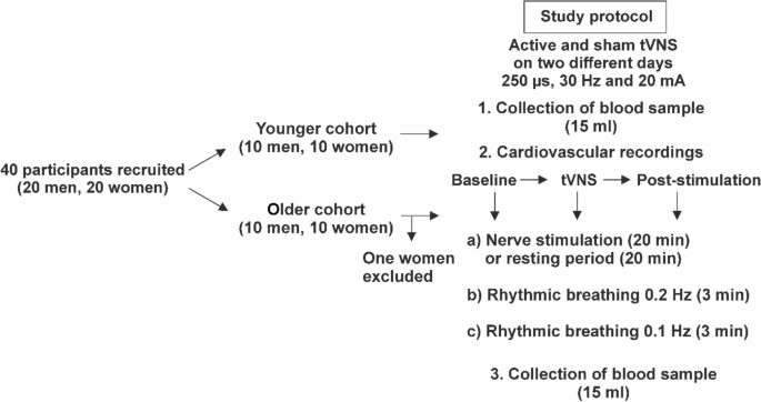 A randomized vagus nerve stimulation study demonstrates that serum aldosterone levels decrease with age in women, but not in men