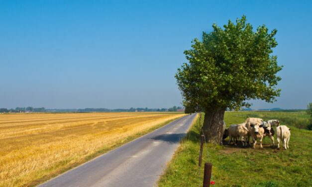 Behaviors Associated With HIV Transmission Varied Across Rural Communities