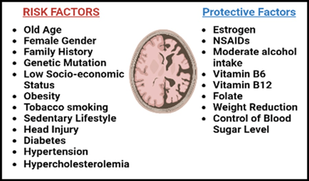The Role of Estrogen Therapy as a Protective Factor for Alzheimer’s Disease and Dementia in Postmenopausal Women: A Comprehensive Review of the Literature