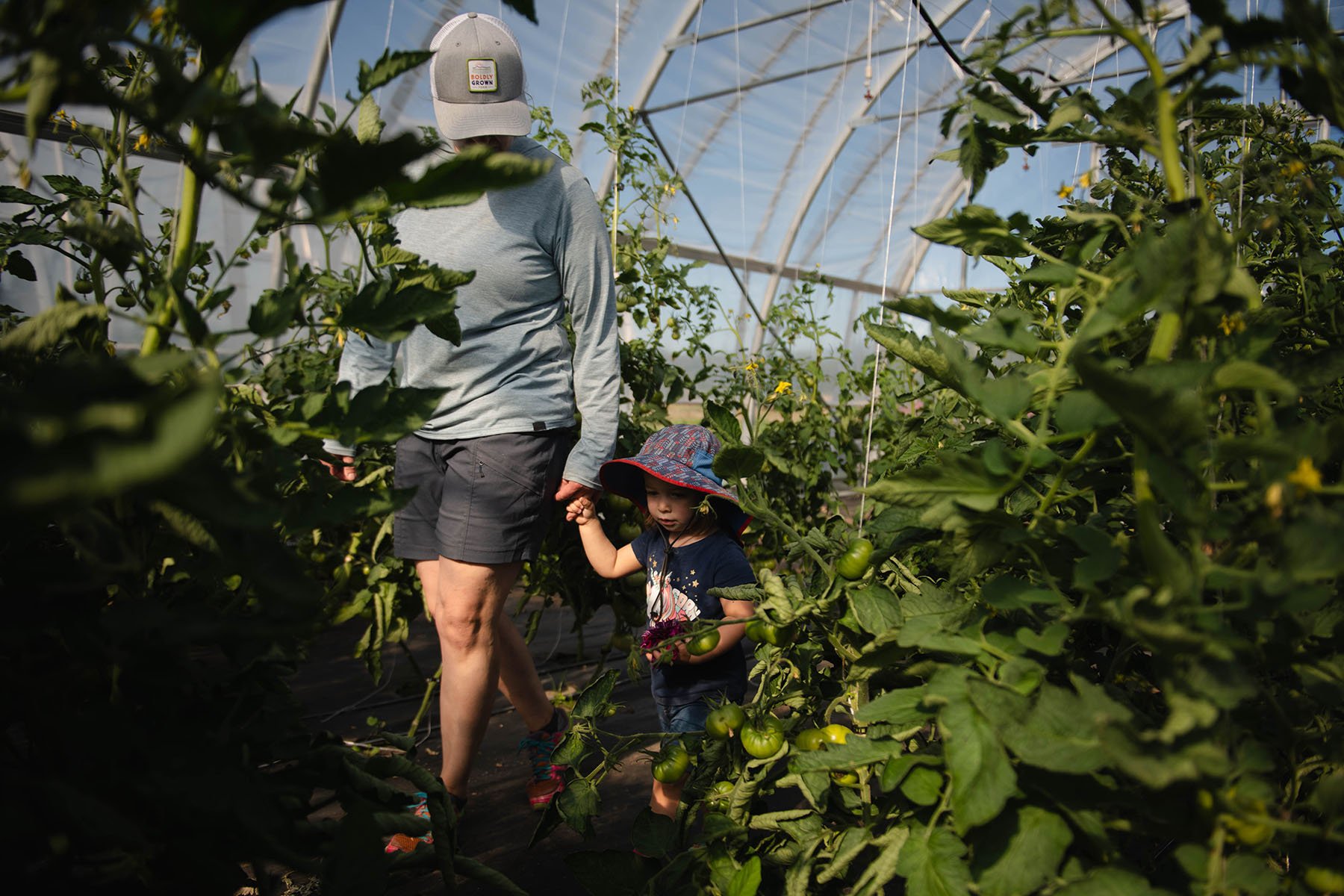 Amy Frye and daughter Ayla harvest vegetables in their greenhouse.
