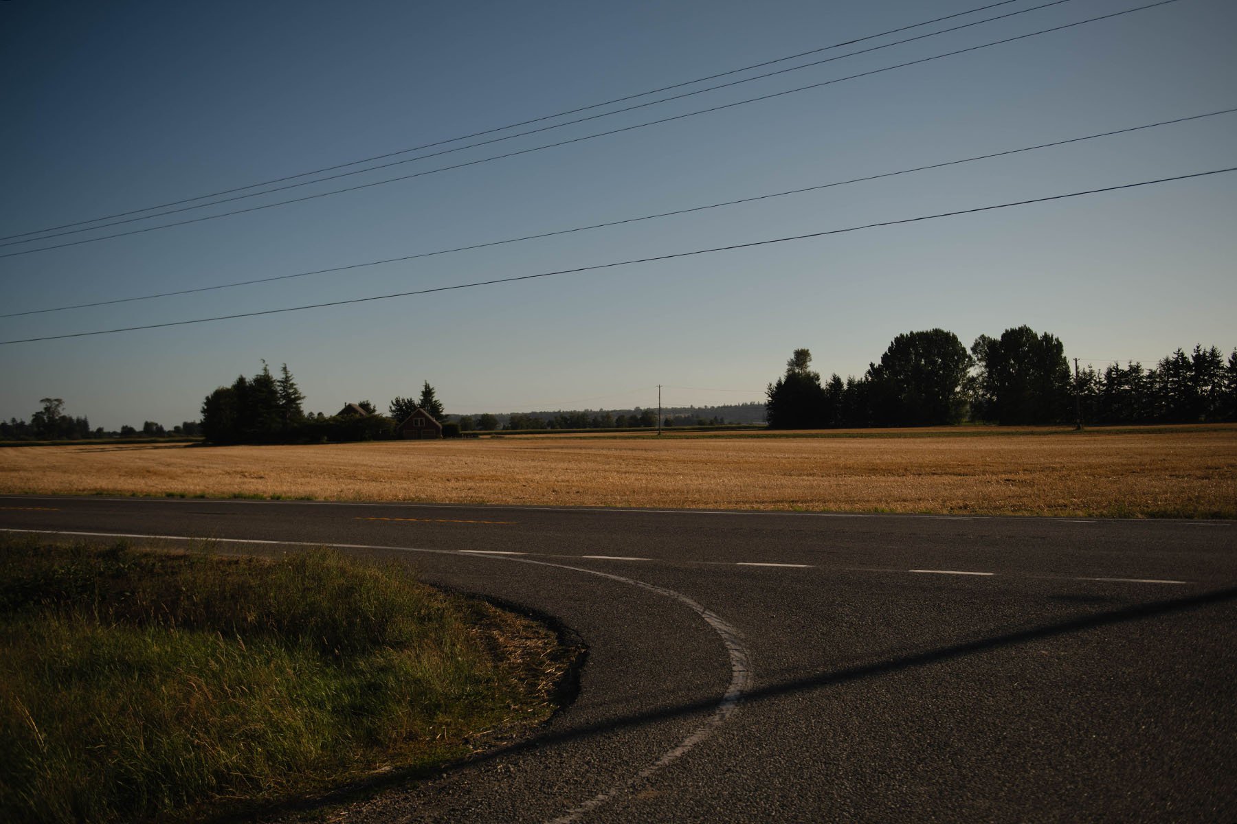 A large open field and an empty road is seen in Washington.