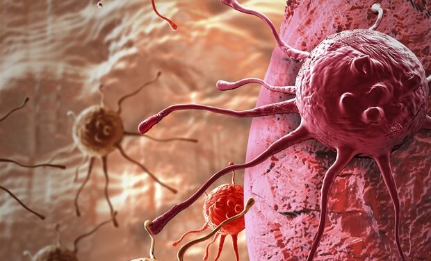 Poll: Majority of older adults oppose use of life expectancy in cancer screening guidelines
