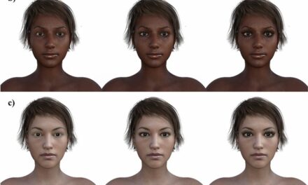 Eyelash length attractiveness across ethnicities