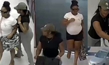 Suspects pepper spray elderly employee while escaping with stolen items