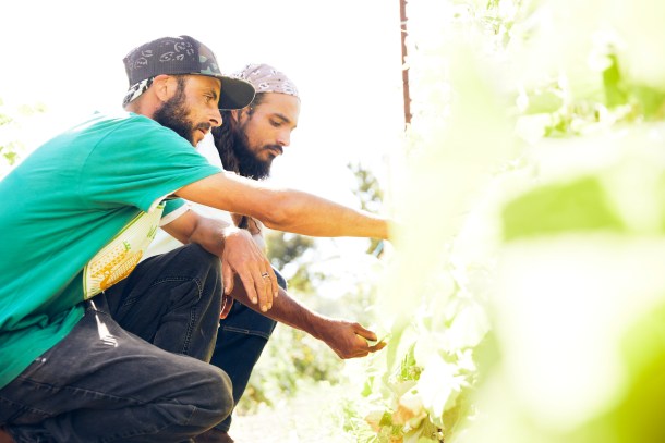 Local Black Farmers Raise Funds For Land
