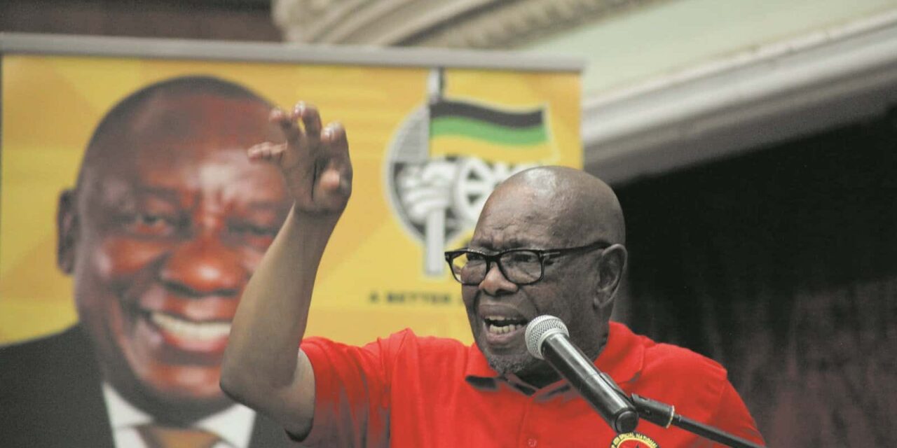 Don’t purge older ANC members: Nzimande | Witness