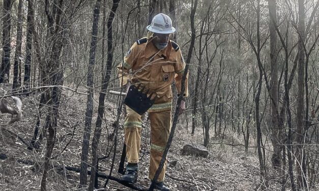 After 40 years fighting fires, Alan risked jail to join young climate activists like Violet. He’s not alone and here’s why