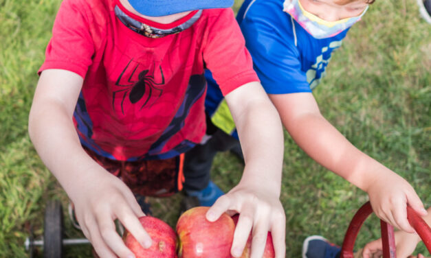 Montgomery Parks October Nature Center programs – Montgomery Parks