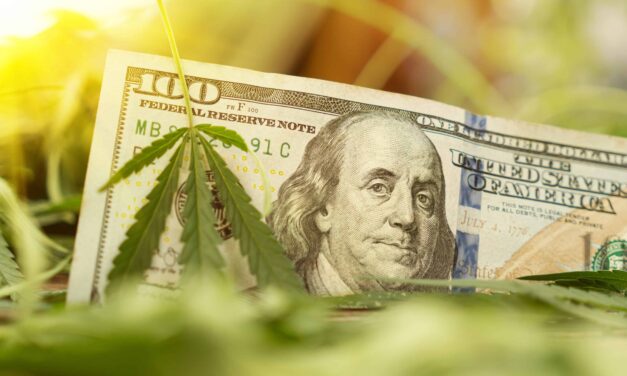 Connecticut Cannabis Sales Continue To Rise in August with $25 Million in Sales | High Times