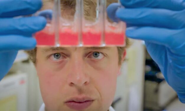 Cancer care: From ‘sledgehammer’ to precision cellular therapy