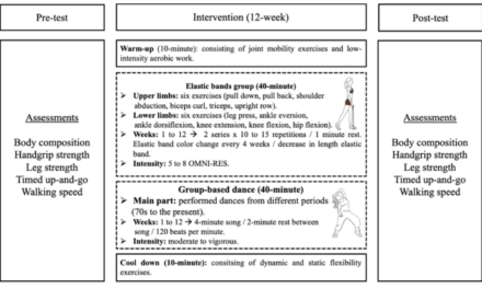 Effectiveness of elastic band training and group-based dance on physical-functional performance in older women with sarcopenia: a pilot study – BMC Public Health