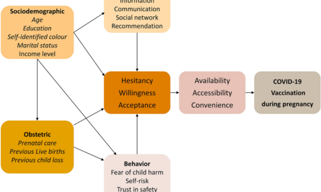 Factors associated with COVID-19 vaccination among pregnant women in Rio De Janeiro City, Brazil