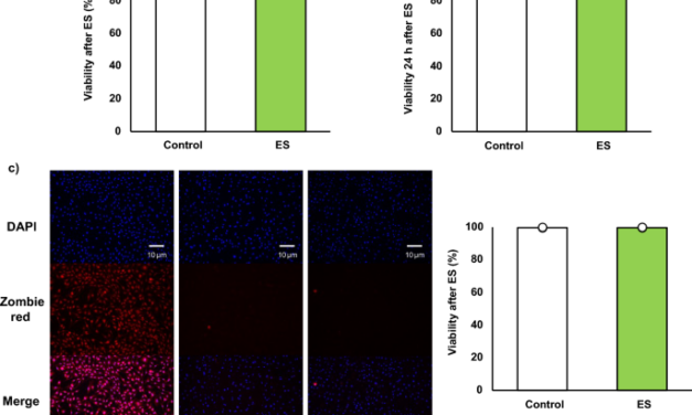 Electrical stimulation facilitates NADPH production in pentose phosphate pathway and exerts an anti-inflammatory effect in macrophages