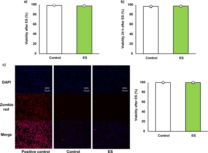 Electrical stimulation facilitates NADPH production in pentose phosphate pathway and exerts an anti-inflammatory effect in macrophages