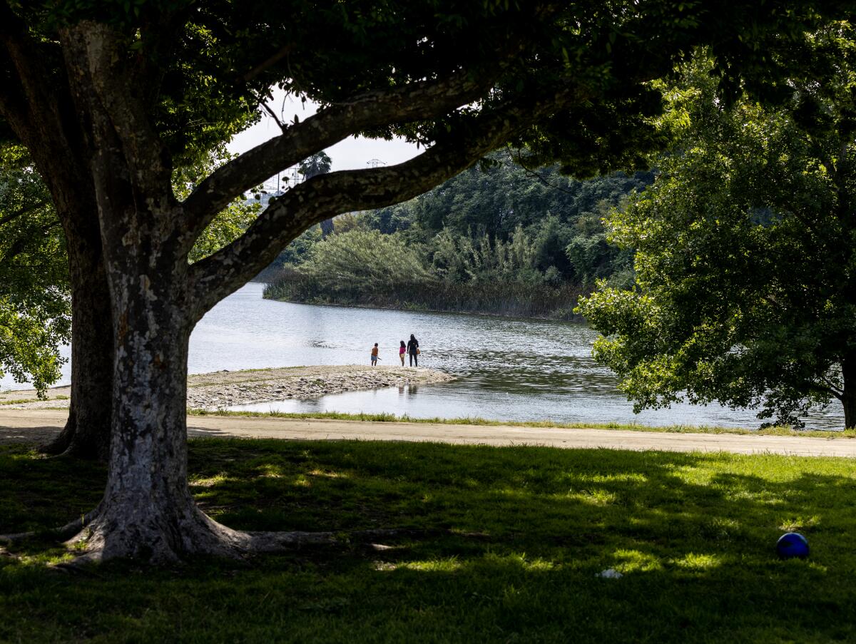 A tree-shaded lawn, with a lake and people in the background 