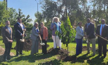 Urban Growers Collective Gets $1 Million To Plant Trees, Combat Climate Change On South Side