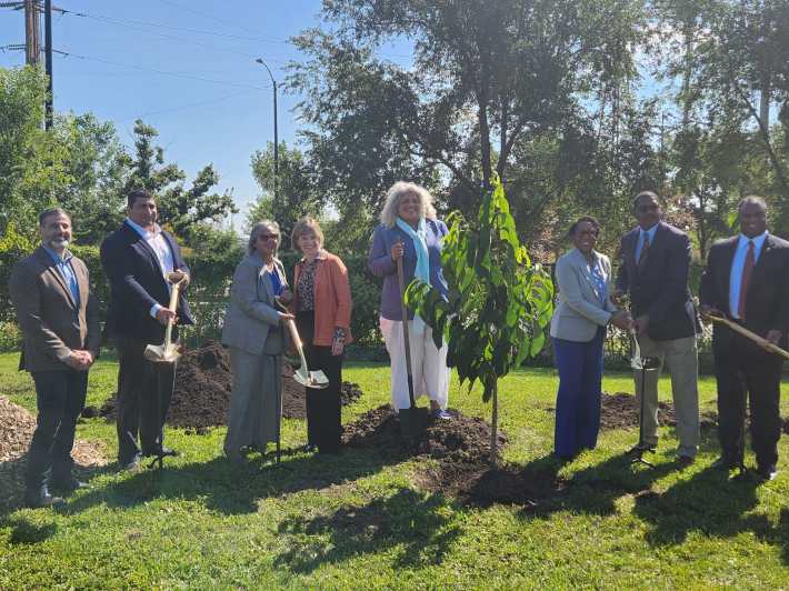 Urban Growers Collective Gets $1 Million To Plant Trees, Combat Climate Change On South Side