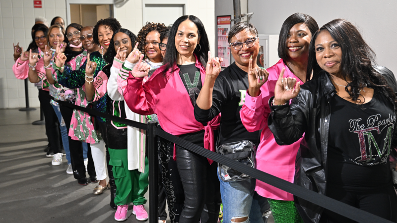 Facts About The Sororities And Fraternities That Make Up The ‘Divine Nine’ Or NPHC – Blavity