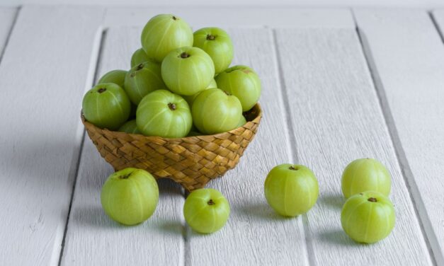 Amla Oil: Your Hair & Skin’s New Favorite Ingredient that Costs Less than $20