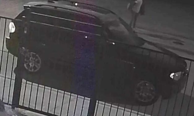 ‘She wanted to live,’ Police search for driver in South Dallas homicide