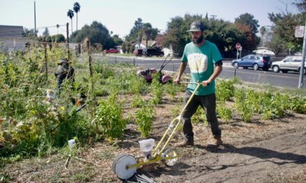 California Will Help BIPOC Collective Cultivate Land Access for Underserved Farmers