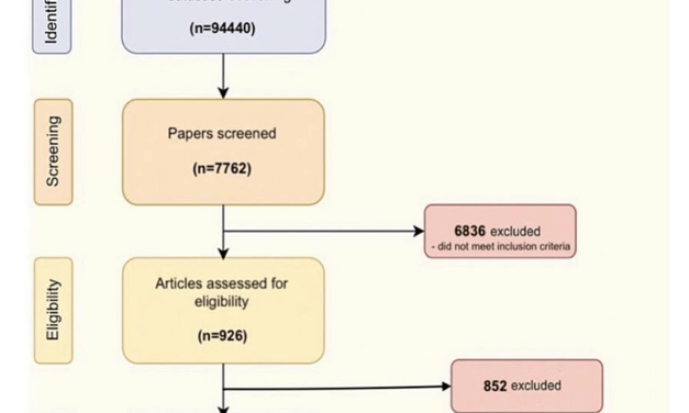 The Influence of Sex, Age, and Race on Coronary Artery Disease: A Narrative Review