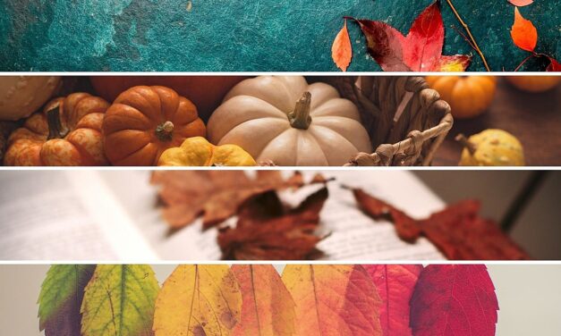12 Fun Most Popular Things to Do in WA in the Fall