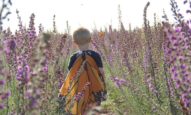 Minnesota DNR Wants Kids to Join the Junior Ranger Program