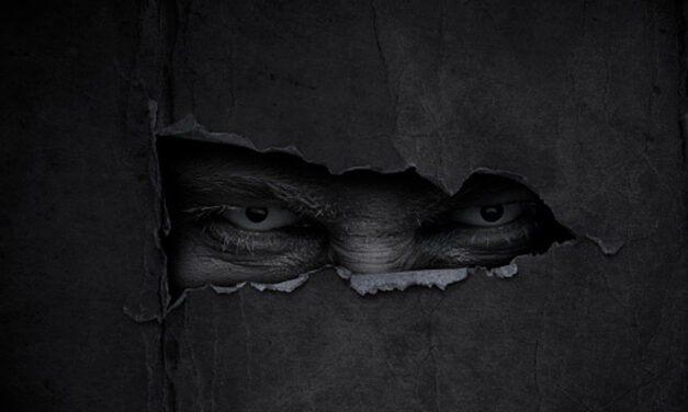 Website Names This Illinois’ Most Frightening Haunted Attraction