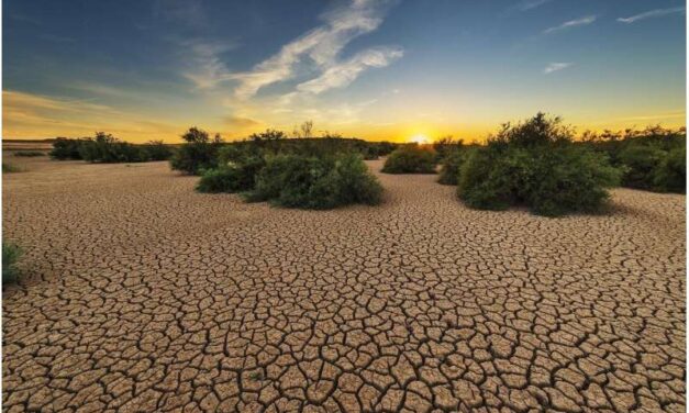 Heat-related cardiovascular deaths in the US may more than double within decades