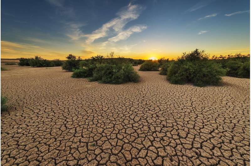 Heat-related cardiovascular deaths in the US may more than double within decades