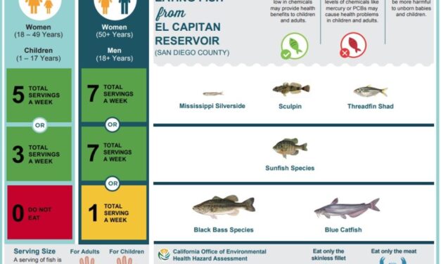 Mercury levels in fish caught from El Capitan Reservoir prompts advisory