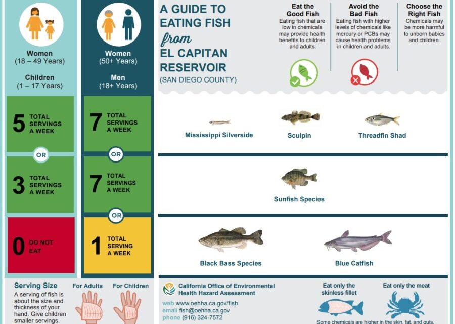 Mercury levels in fish caught from El Capitan Reservoir prompts advisory