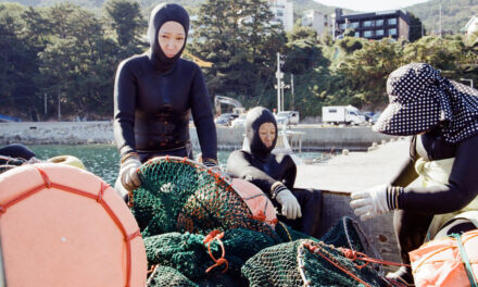 Meet the next generation of South Korean seawomen