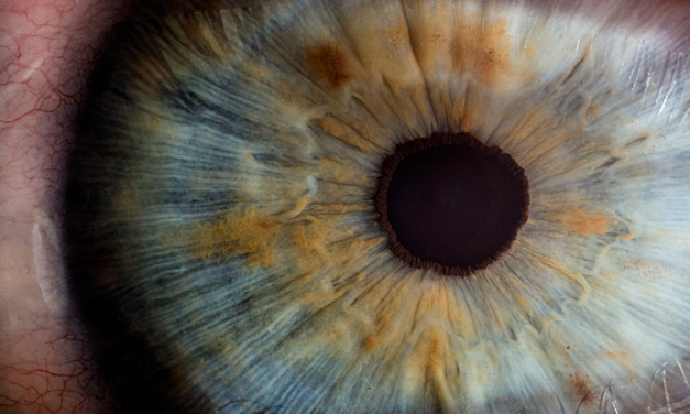 Vision Loss Will Increase in Brazil, Russia, India, China, South Africa by 2040