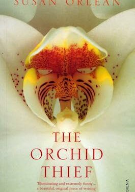 Twisting My Life Into a Story Sacrificed My Ability to Live It – Electric Literature